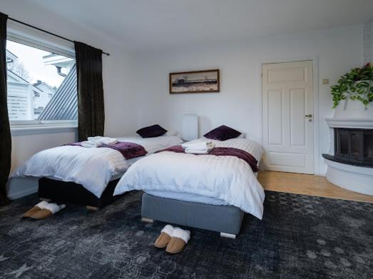 Aurora Dream House Apartment With Free Parking Tromso Exterior photo